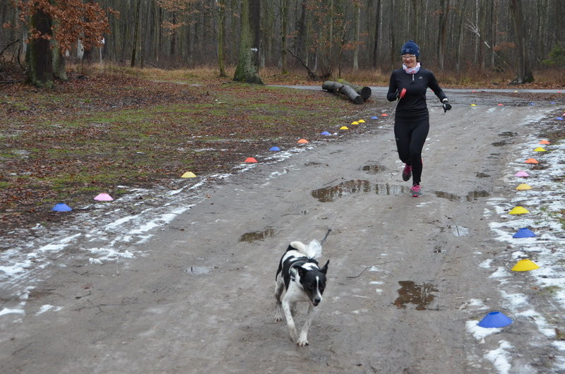 Trzykrotne gratulacje podczas 277. edycji Parkrunu Leszno (zdjęcia)