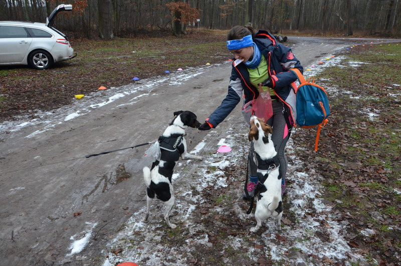 Trzykrotne gratulacje podczas 277. edycji Parkrunu Leszno (zdjęcia)