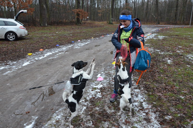 Trzykrotne gratulacje podczas 277. edycji Parkrunu Leszno (zdjęcia)