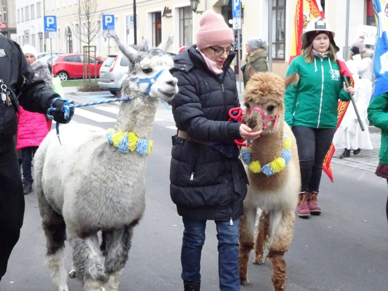 Orszak Trzech Króli w Lesznie przyciągnął tłumy (zdjęcia)