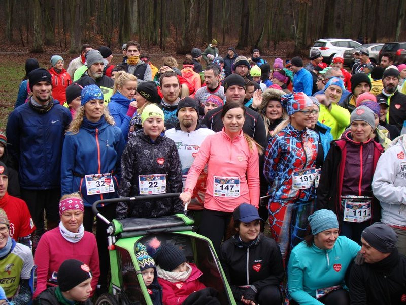 Biegli, szli i grali w WOŚP (zdjęcia)