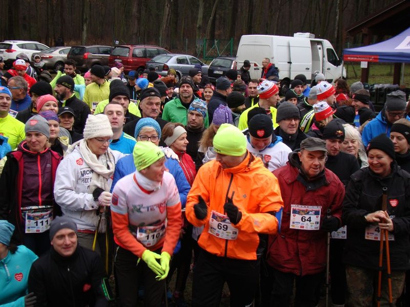 Biegli, szli i grali w WOŚP (zdjęcia)