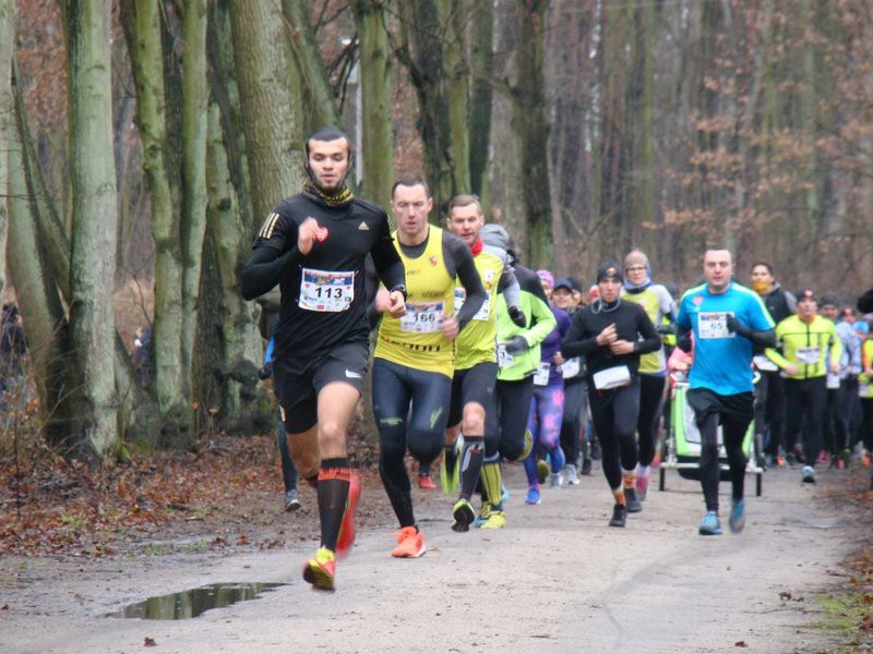 Biegli, szli i grali w WOŚP (zdjęcia)