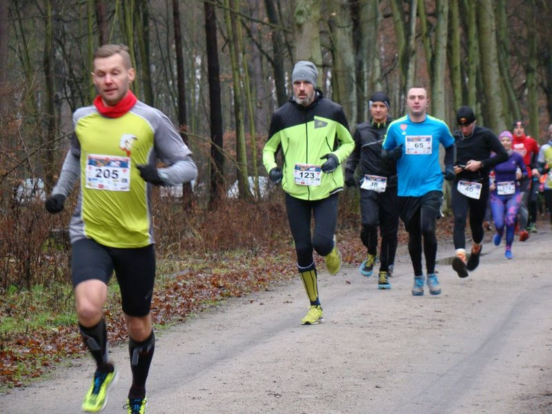Biegli, szli i grali w WOŚP (zdjęcia)