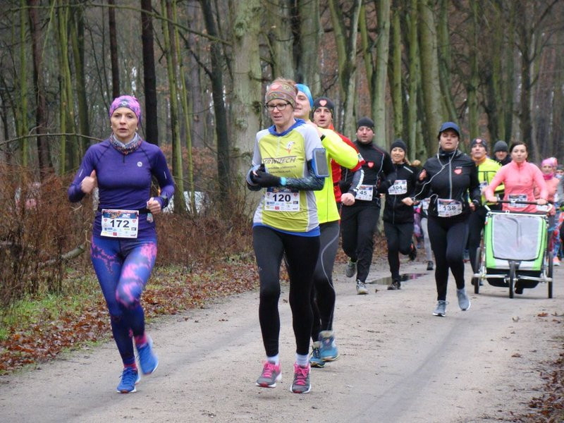 Biegli, szli i grali w WOŚP (zdjęcia)