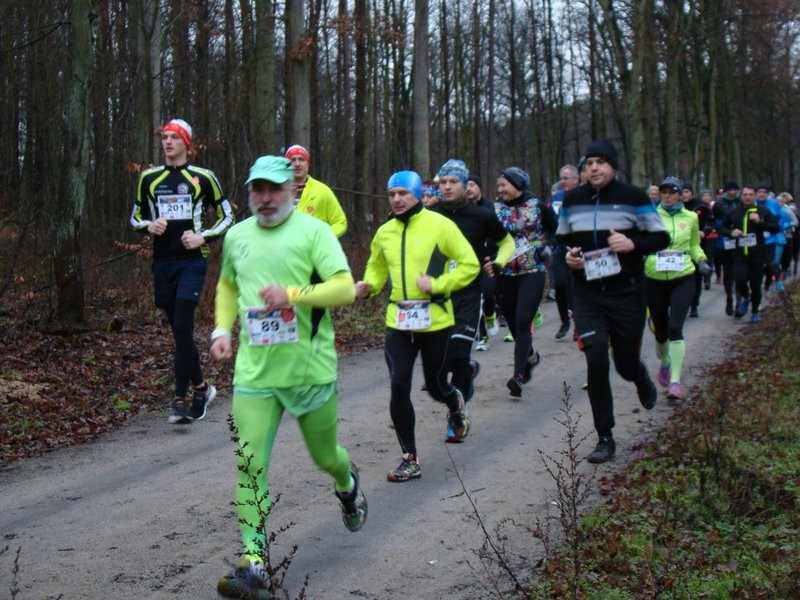 Biegli, szli i grali w WOŚP (zdjęcia)