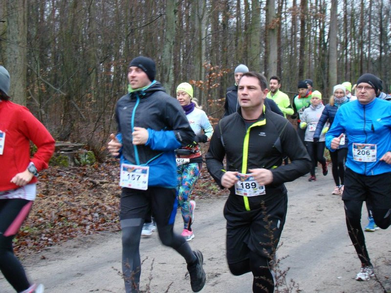 Biegli, szli i grali w WOŚP (zdjęcia)
