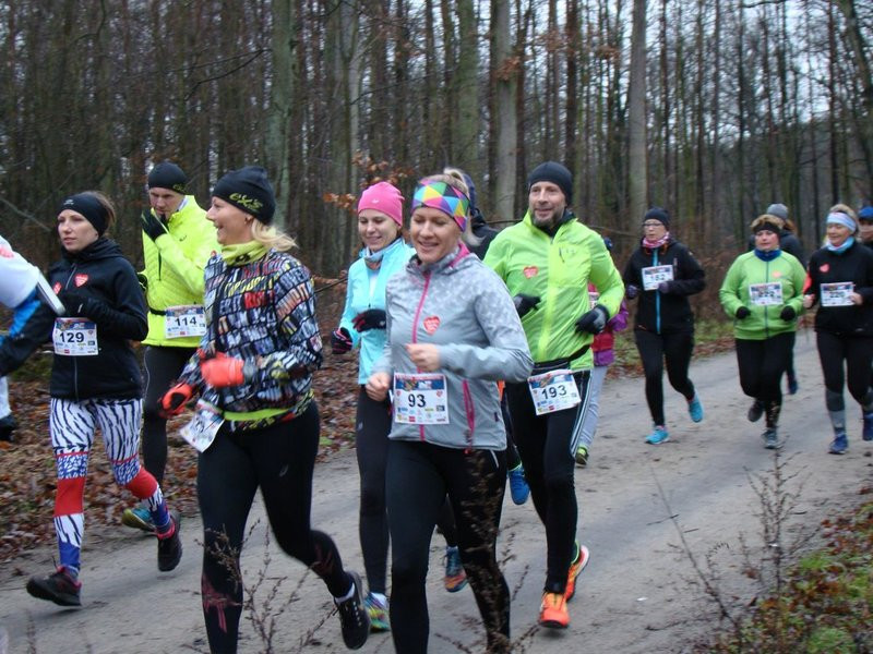 Biegli, szli i grali w WOŚP (zdjęcia)