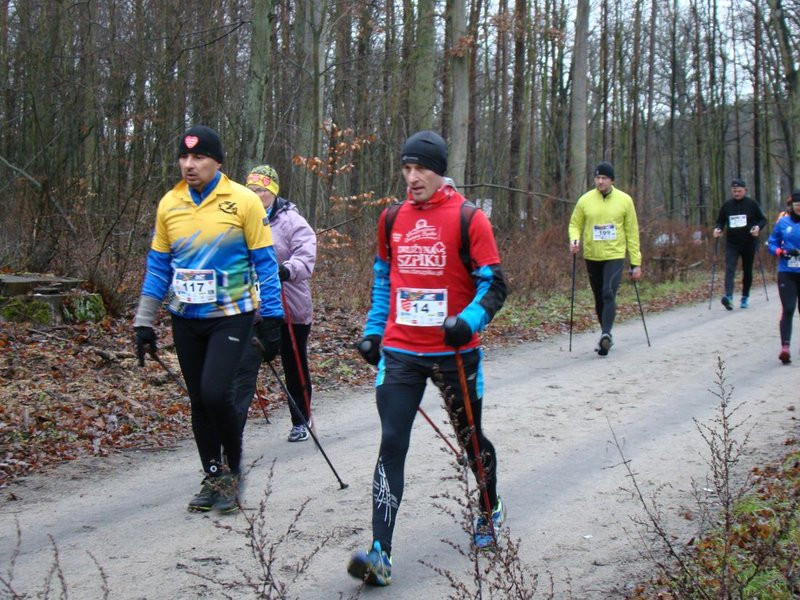 Biegli, szli i grali w WOŚP (zdjęcia)
