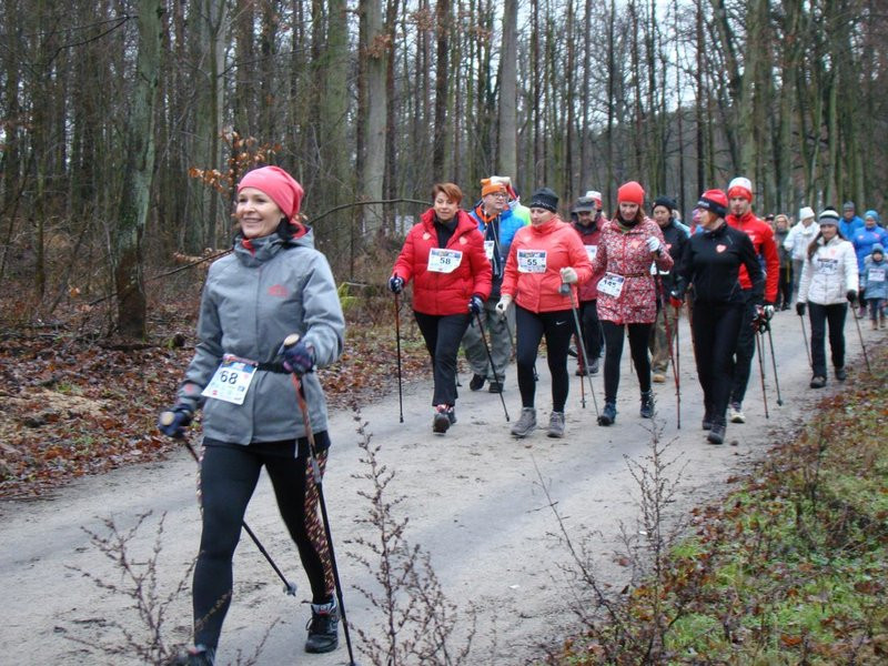 Biegli, szli i grali w WOŚP (zdjęcia)