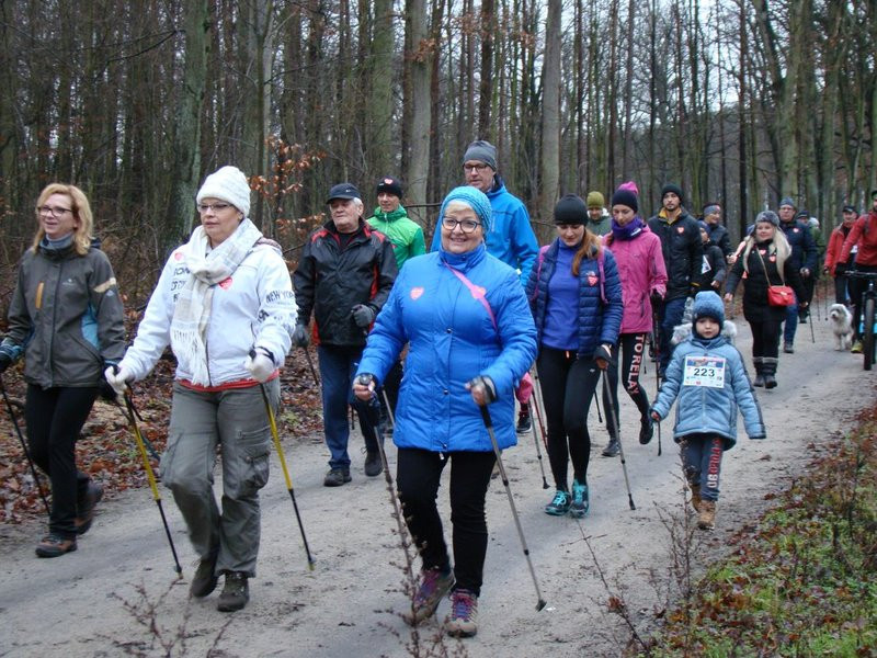 Biegli, szli i grali w WOŚP (zdjęcia)