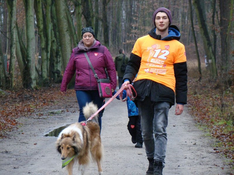 Biegli, szli i grali w WOŚP (zdjęcia)
