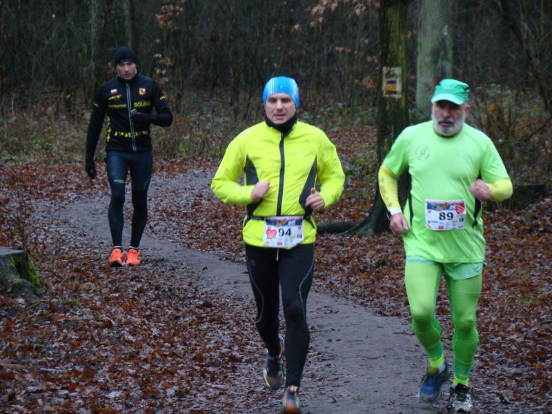 Biegli, szli i grali w WOŚP (zdjęcia)