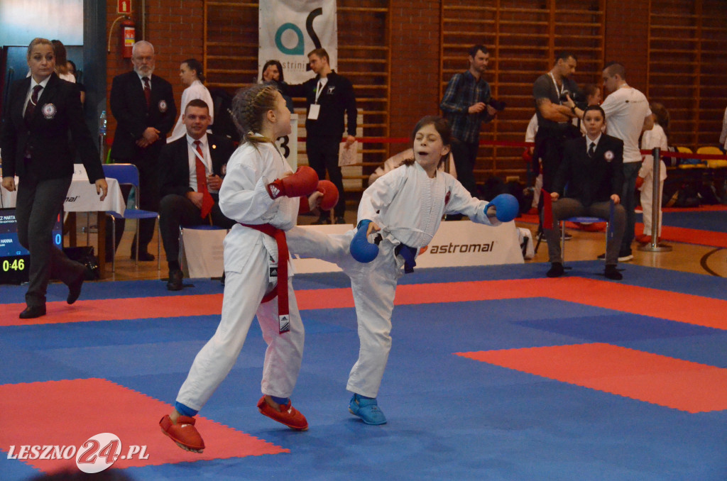Budokan Astromal Cup