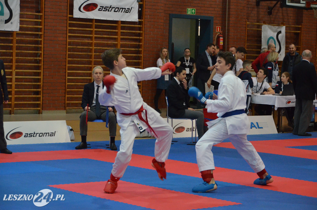 Budokan Astromal Cup