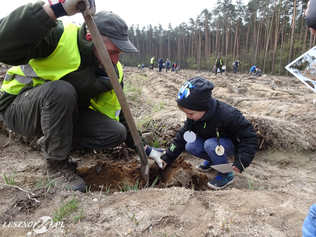Sadzenie lasu - Leszno, 13.04.2019