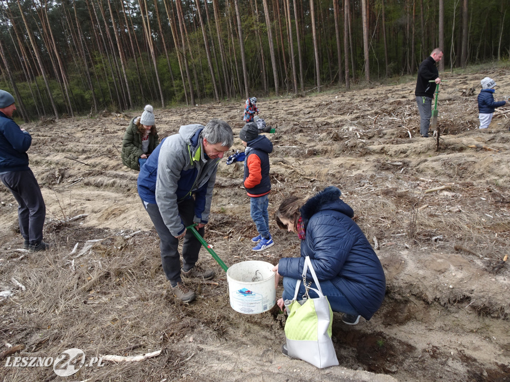 Sadzenie lasu - Leszno, 13.04.2019