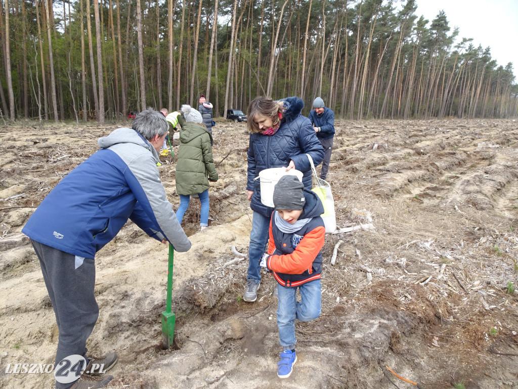 Sadzenie lasu - Leszno, 13.04.2019