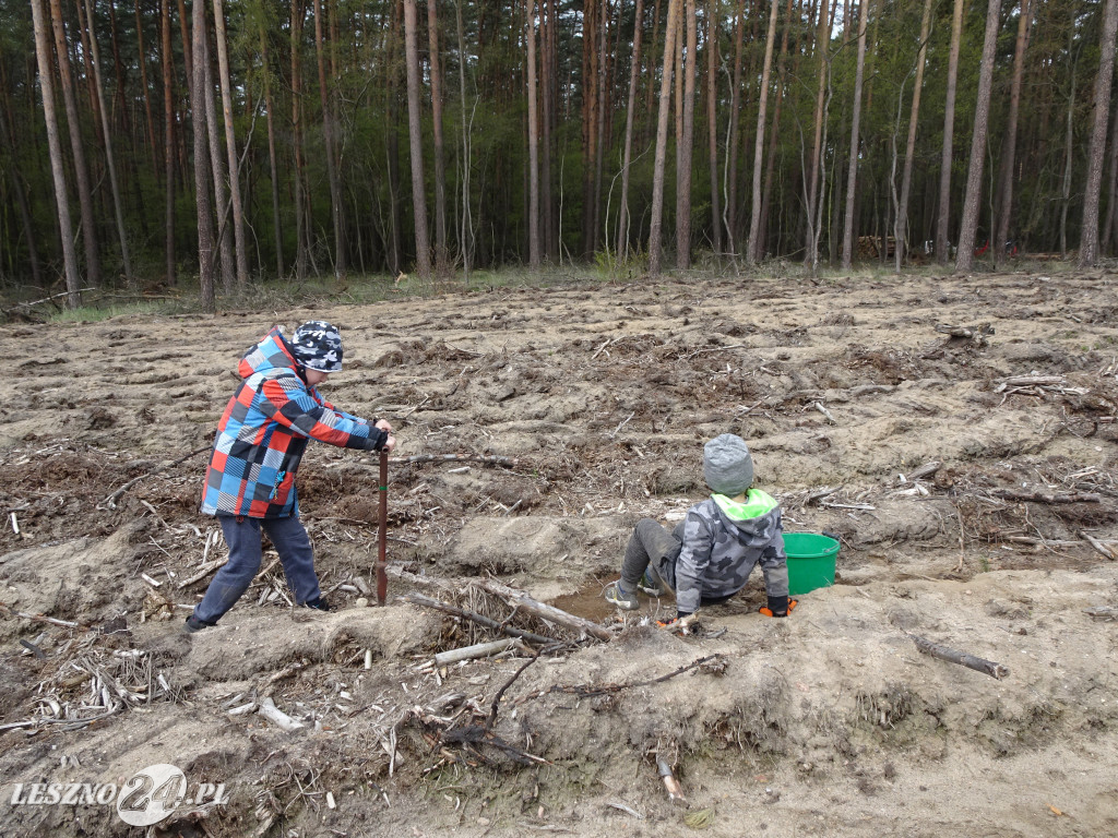 Sadzenie lasu - Leszno, 13.04.2019