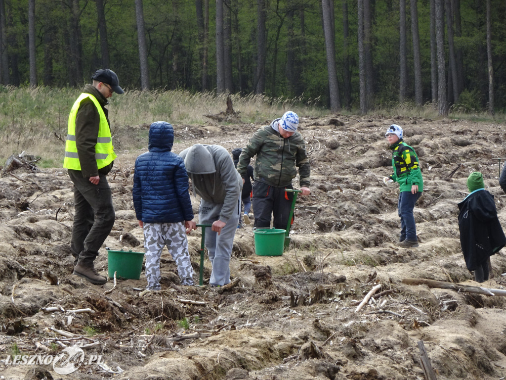 Sadzenie lasu - Leszno, 13.04.2019
