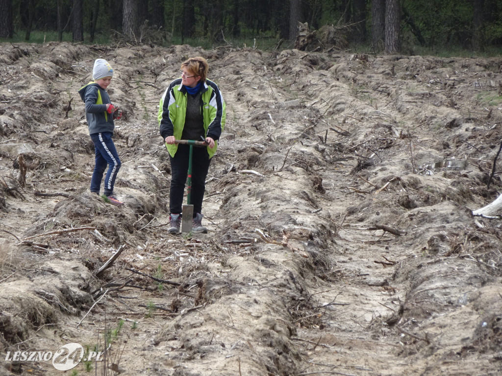 Sadzenie lasu - Leszno, 13.04.2019
