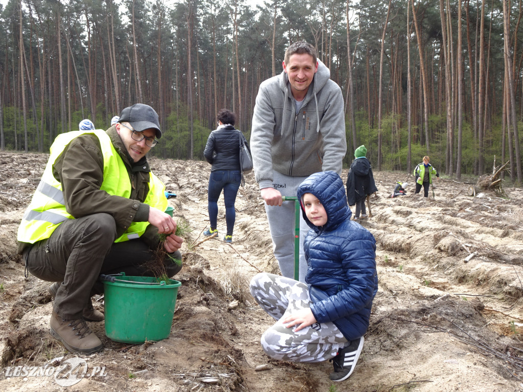 Sadzenie lasu - Leszno, 13.04.2019