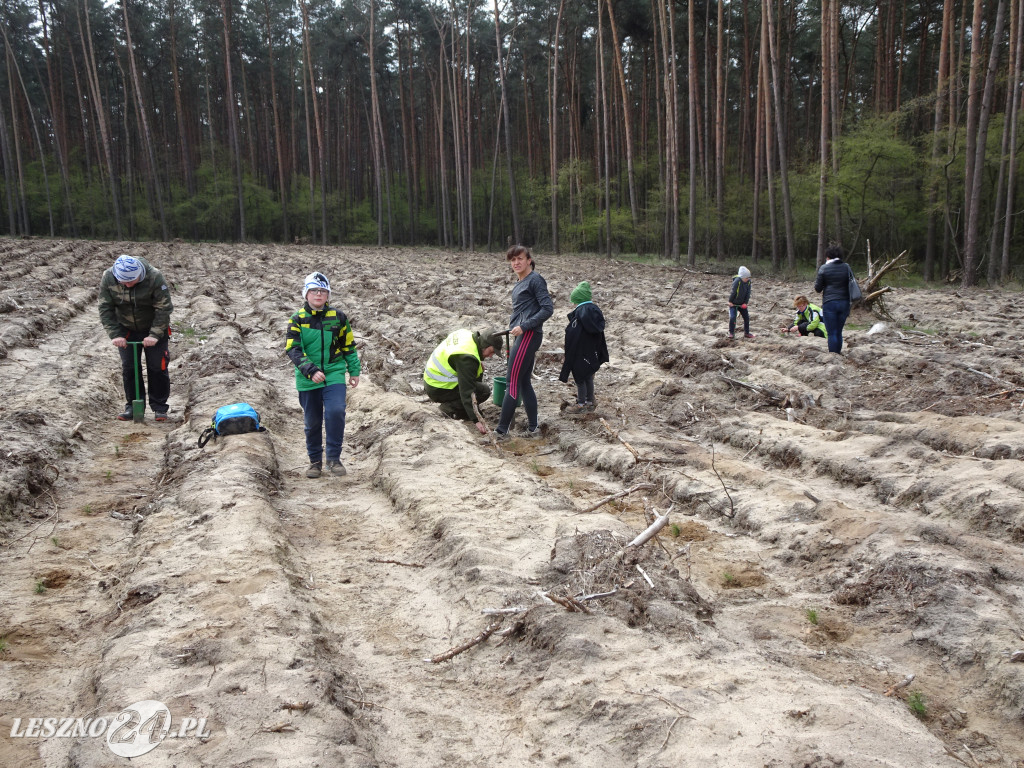 Sadzenie lasu - Leszno, 13.04.2019