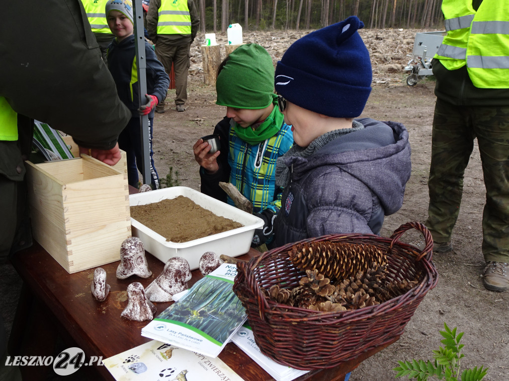 Sadzenie lasu - Leszno, 13.04.2019