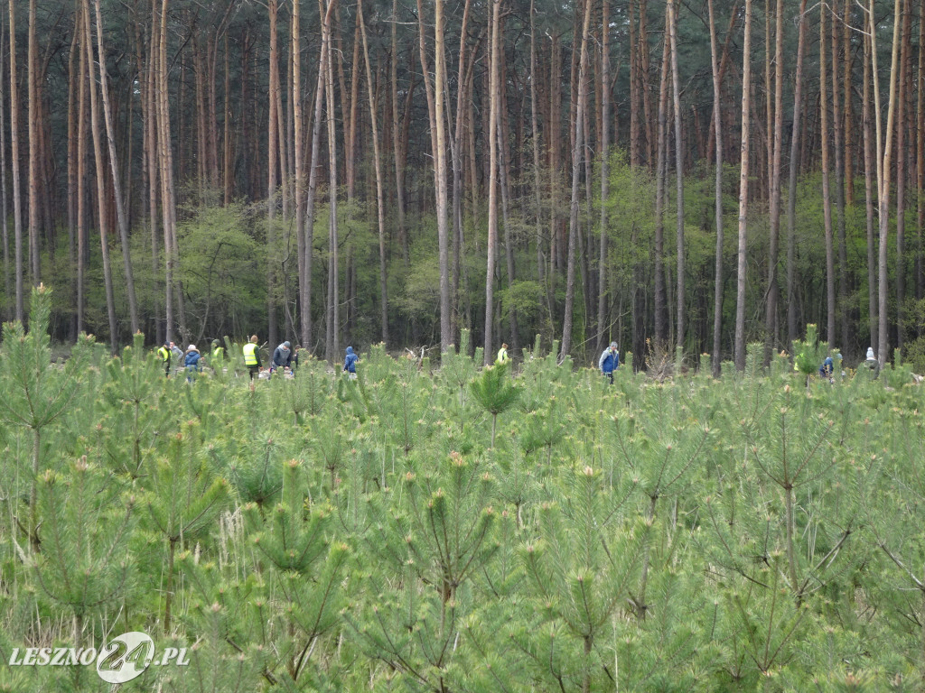 Sadzenie lasu - Leszno, 13.04.2019