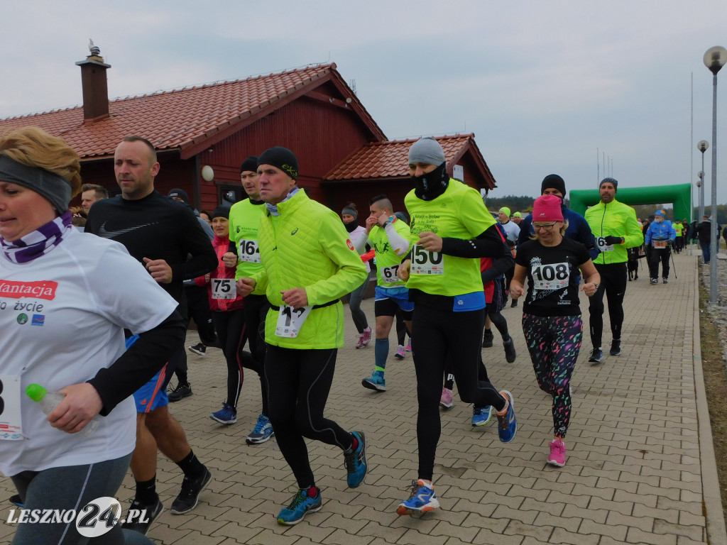 Transplantacja. Jesteśmy na TAK w Rydzynie