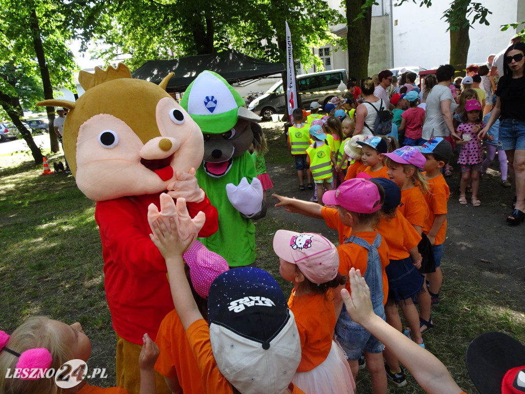 W samym sercu miasta - piknik wolontariacki