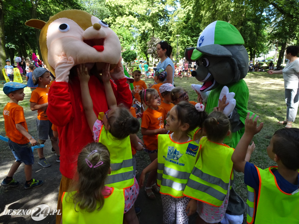 W samym sercu miasta - piknik wolontariacki
