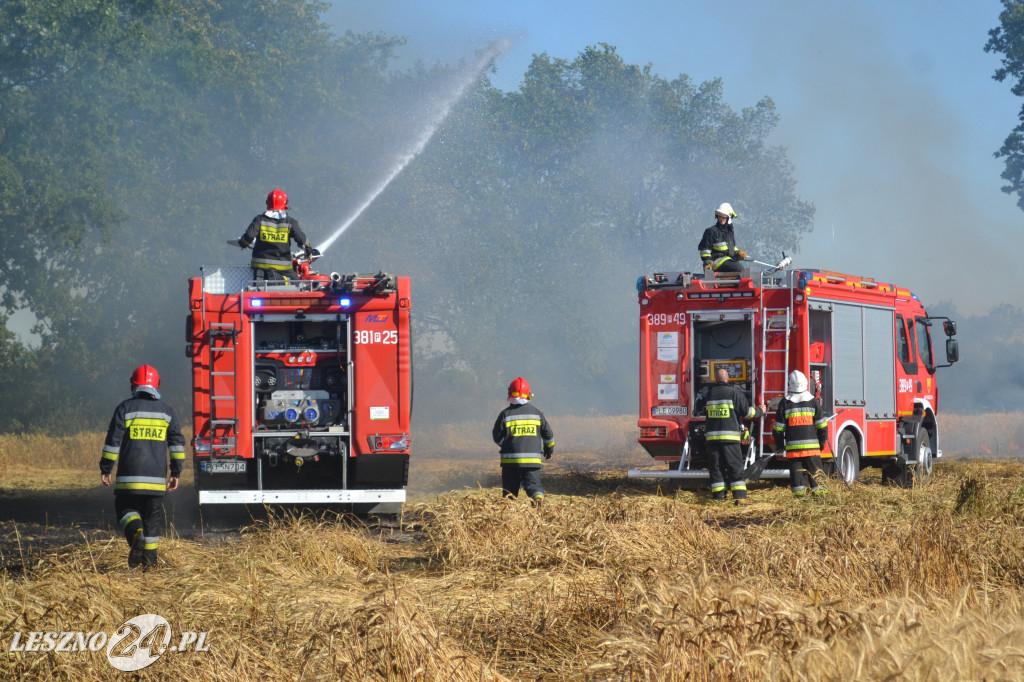 Pożar na polu w Garzynie, gm. Krzemieniewo