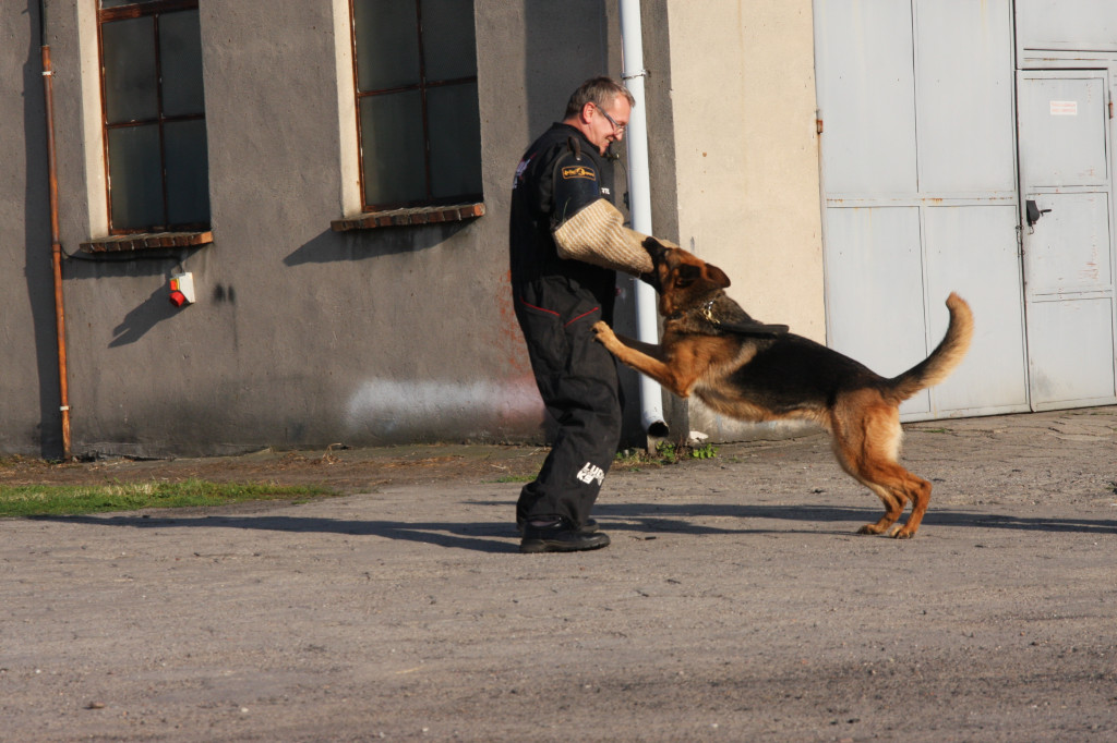 Festyn policji w Lesznie