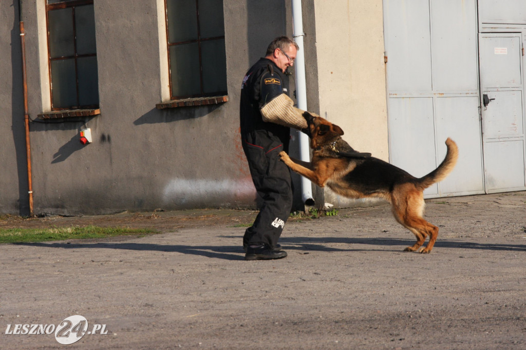 Festyn policji w Lesznie