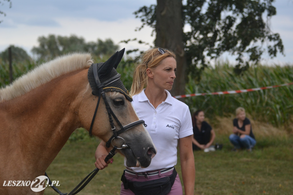 Zawody konne w Krzemieniewie