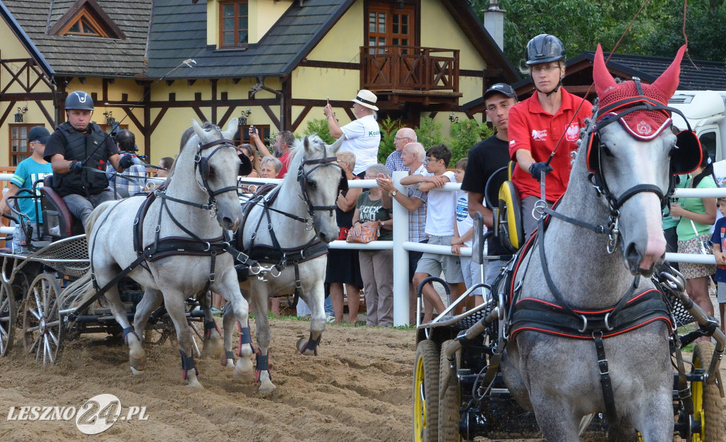 Dni Powiatu Leszczyńskiego 2019 - Boszkowo
