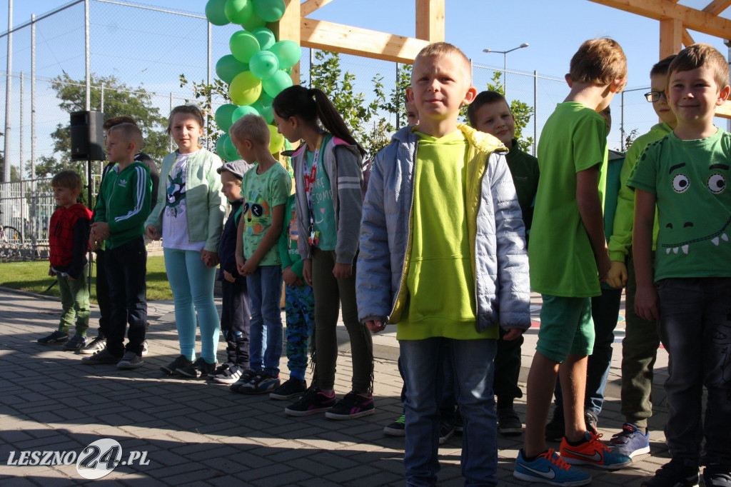 Grają w zielone w SP 5