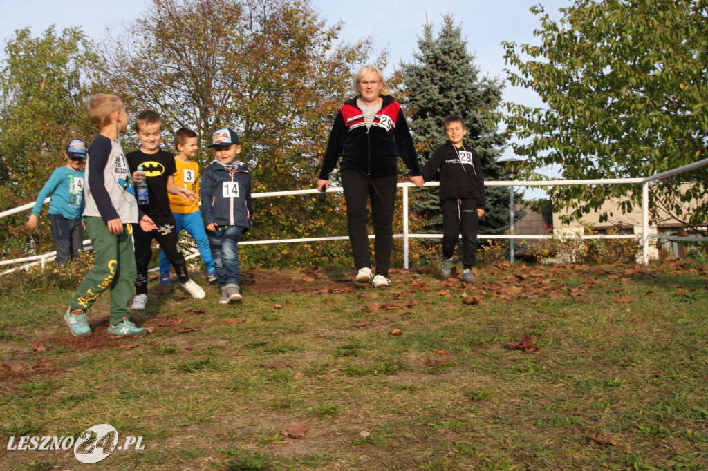 100 kroków dla Leszna