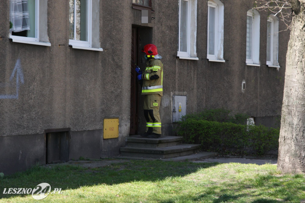Ratownicy lotniczego pogotowia w Lesznie