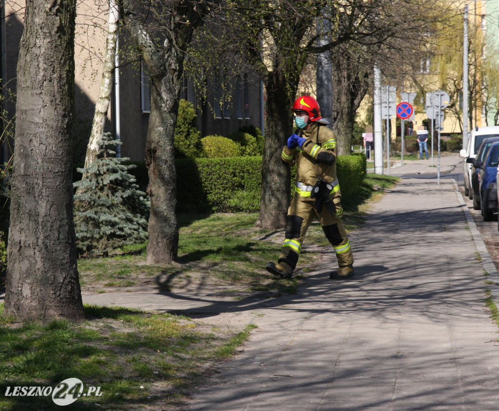 Ratownicy lotniczego pogotowia w Lesznie