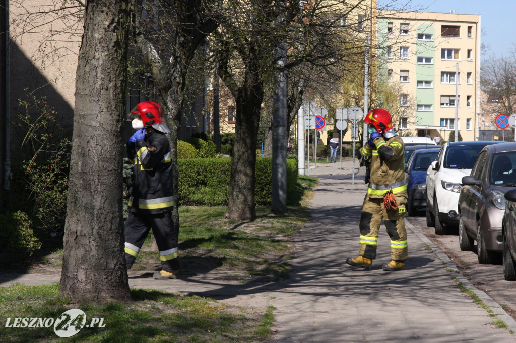 Ratownicy lotniczego pogotowia w Lesznie