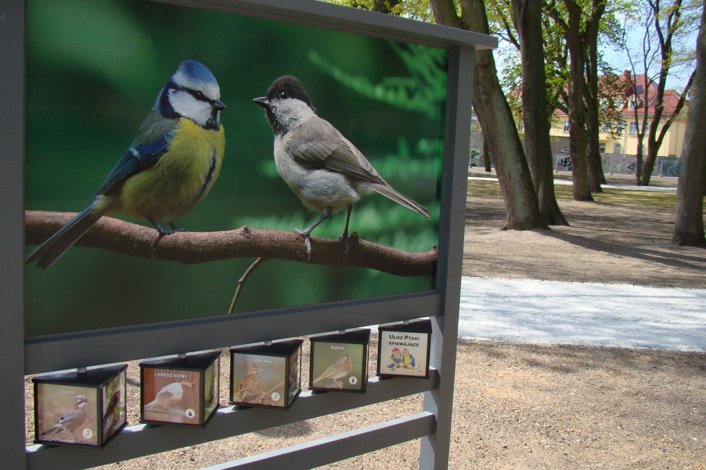 Park Jonstona po rewitalizacji