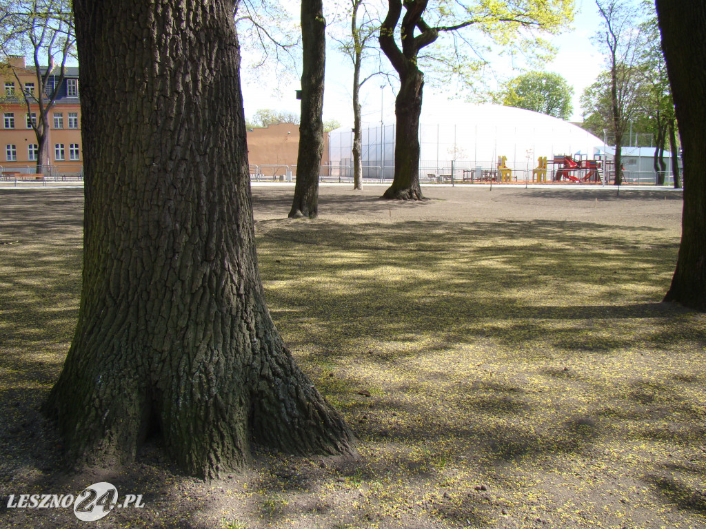 Park Jonstona po rewitalizacji