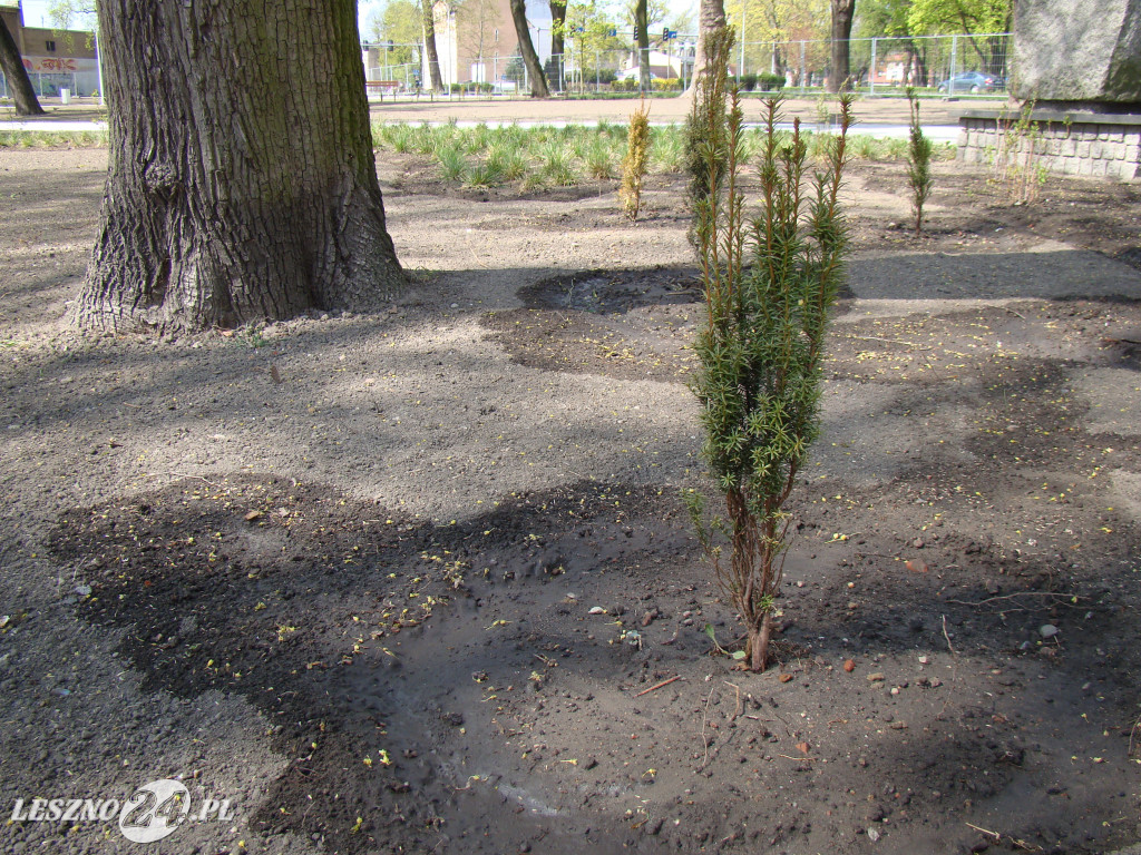 Park Jonstona po rewitalizacji