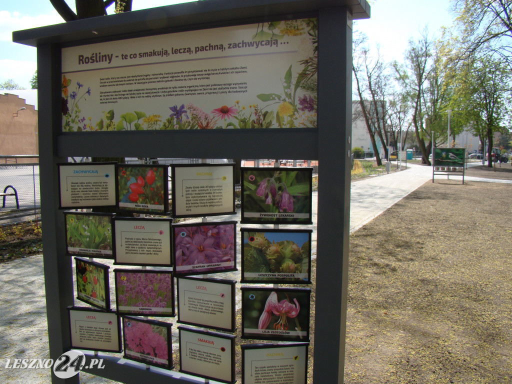 Park Jonstona po rewitalizacji