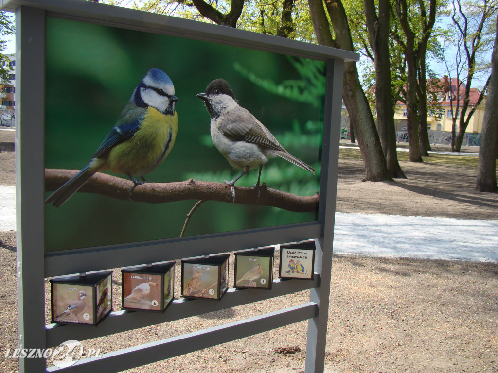 Park Jonstona po rewitalizacji