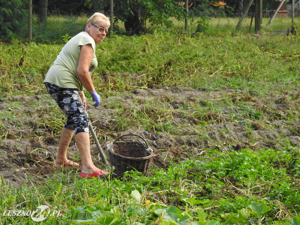 Próby przed imprezą w Wilkowicach