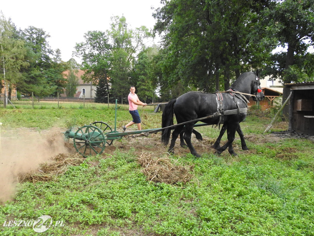 Próby przed imprezą w Wilkowicach