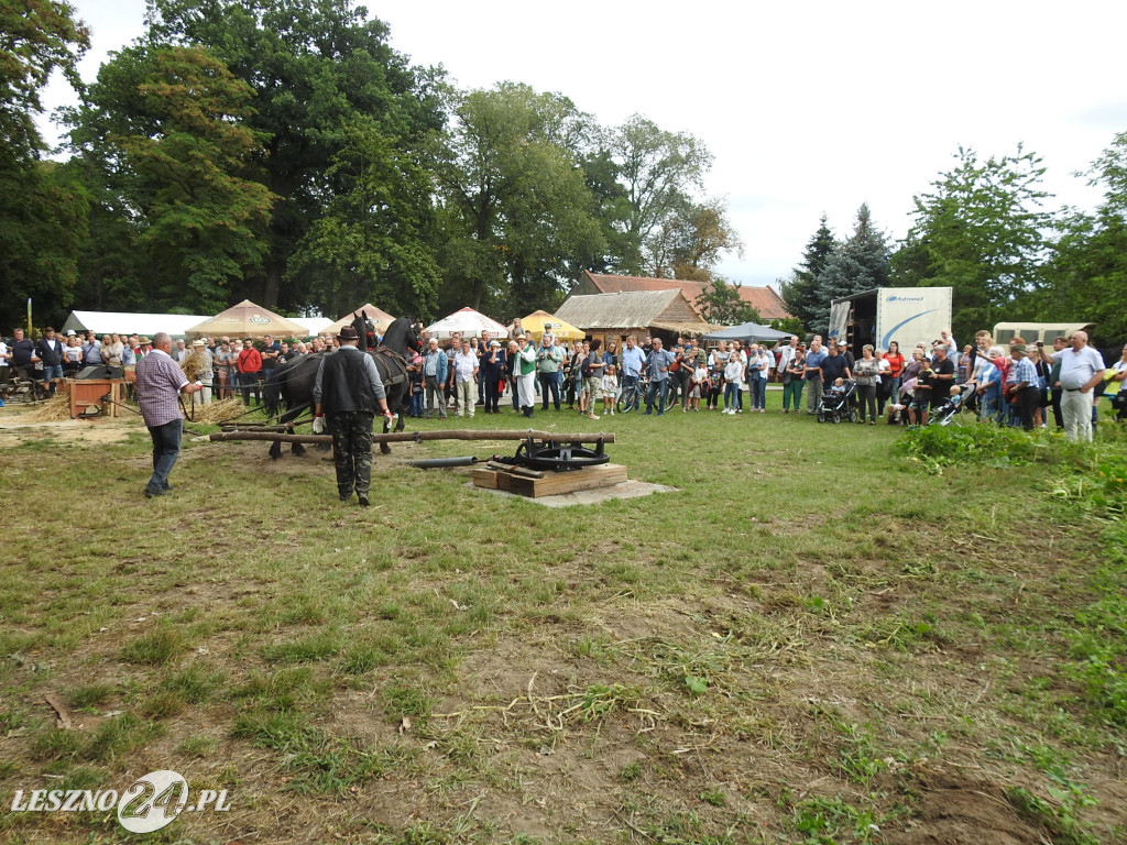 Dawno, dawno temu na wsi 2020